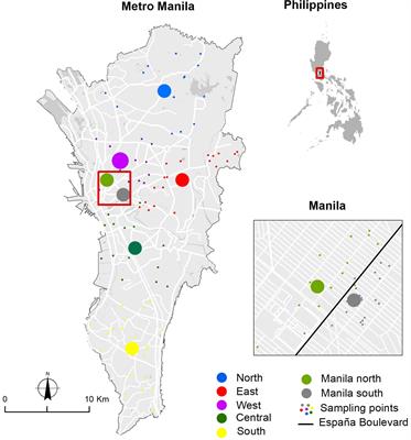 Genome-wide detection of Wolbachia in natural Aedes aegypti populations using ddRAD-Seq